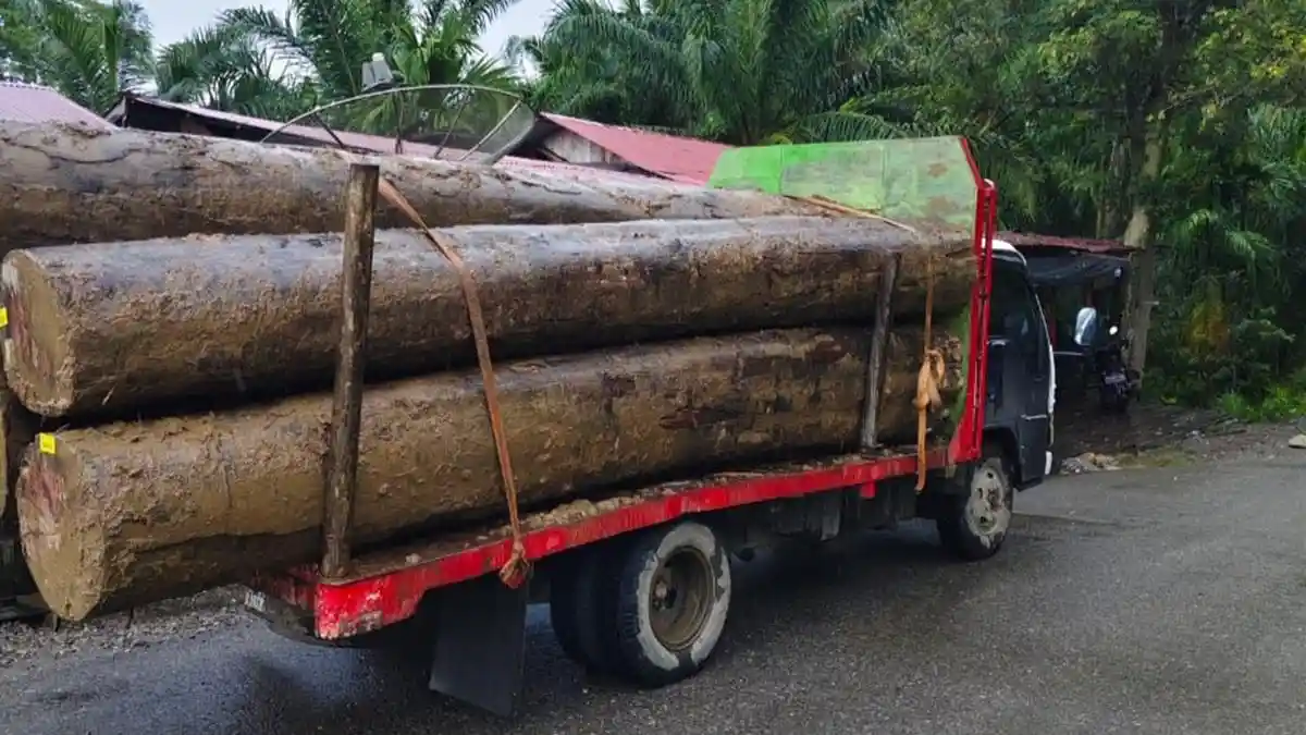 Sewa Truk untuk Mengangkut Kayu dan Material Berukuran Panjang